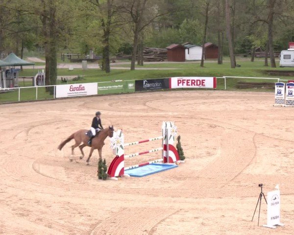 Internationales Springturnier Stadl-Paura 2025