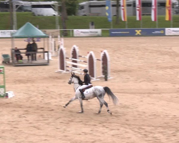 Internationales Springturnier Stadl-Paura 2025