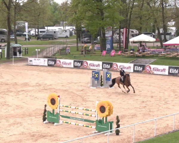 Internationales Springturnier Stadl-Paura 2025