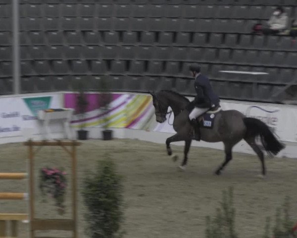 VER-Dinale 2014