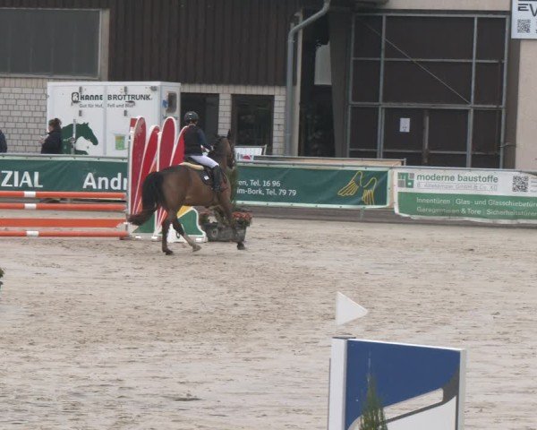 Reitturnier Olfen 2025