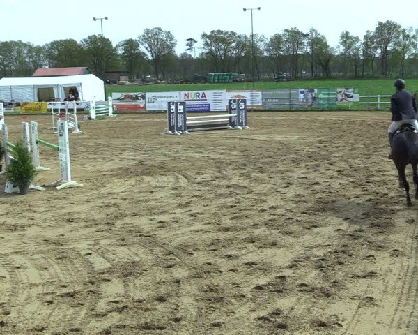 Reitturnier Bremervörde 2025
