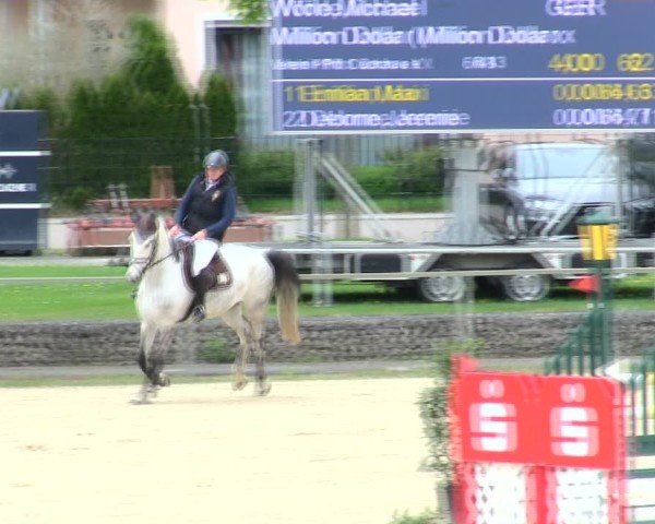 Reitturnier Ingolstadt-Hagau/Obb. 2025