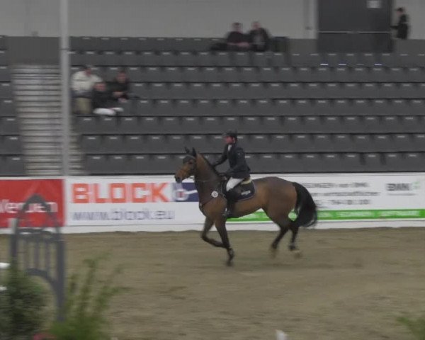 VER-Dinale 2014