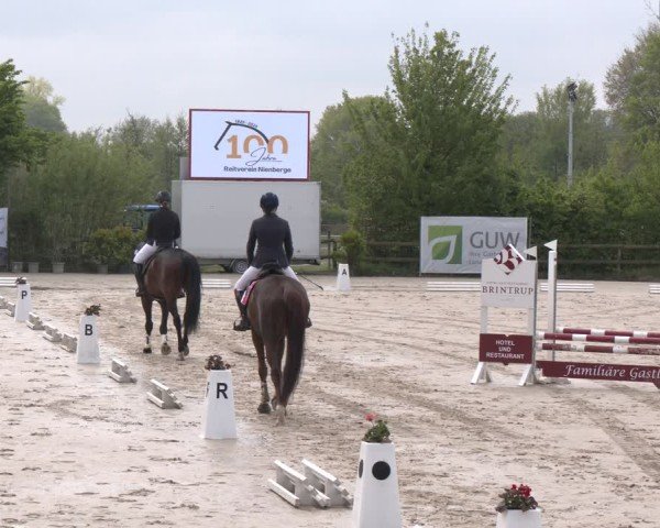 Reitturnier Nienberge 2025