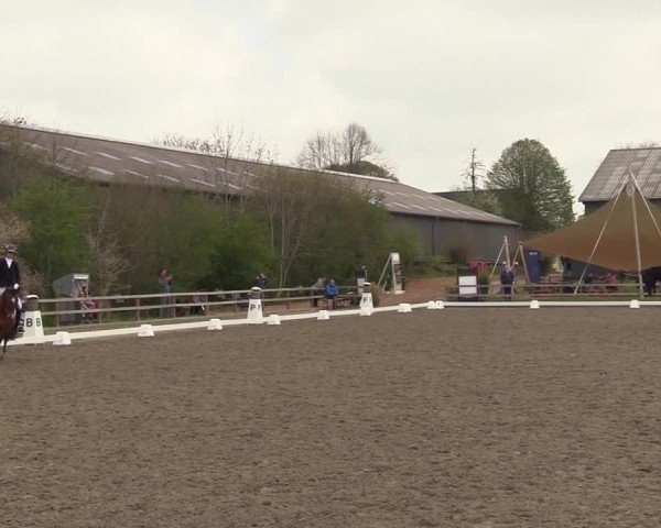 Reitturnier Kleinsolter Turniertage 2025