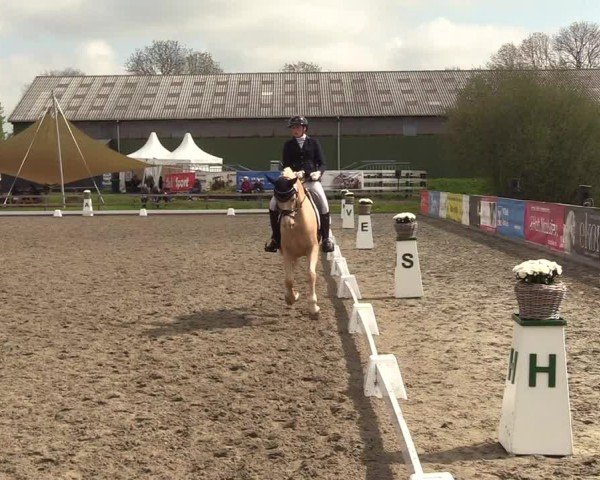 Reitturnier Kleinsolter Turniertage 2025
