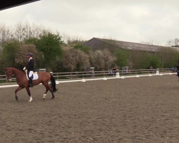 Reitturnier Kleinsolter Turniertage 2025