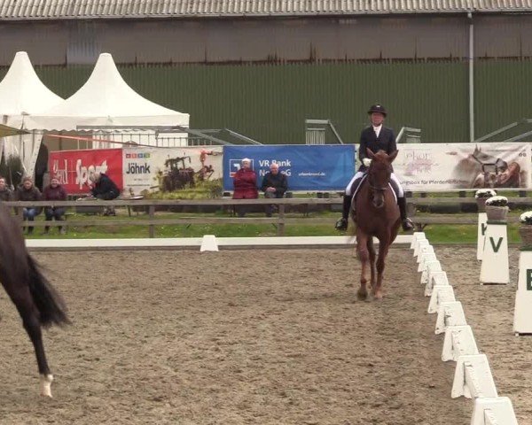 Reitturnier Kleinsolter Turniertage 2025