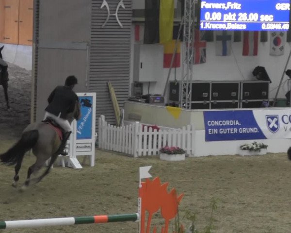 VER-Dinale 2014