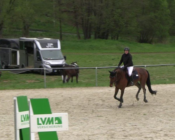 Reitturnier Bad Liebenstein 2025