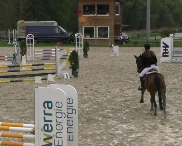 Reitturnier Bad Liebenstein 2025