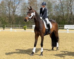 dressage horse Fidelo (Hanoverian, 2020, from For Dance)