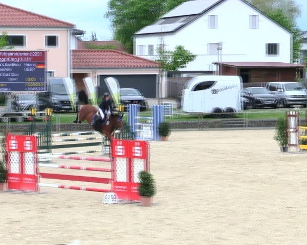 Reitturnier Ingolstadt-Hagau/Obb. 2025