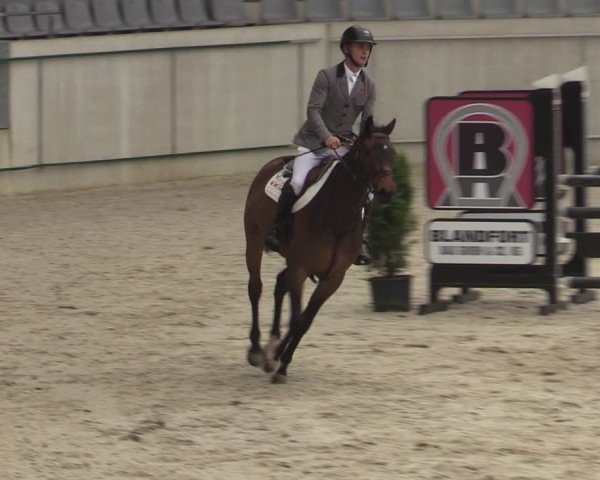 Reitturnier Aachen 2025