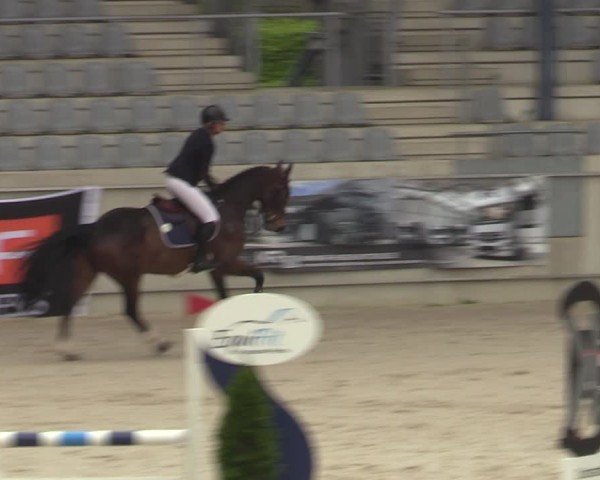 Reitturnier Aachen 2025