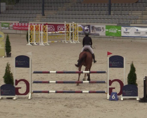 Reitturnier Aachen 2025