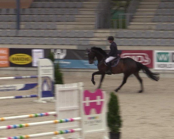 Reitturnier Aachen 2025