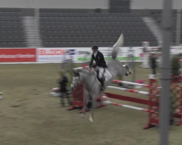 VER-Dinale 2014