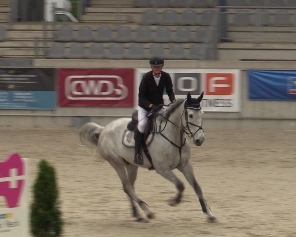 Reitturnier Aachen 2025