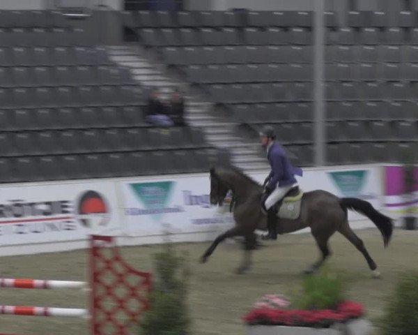 VER-Dinale 2014