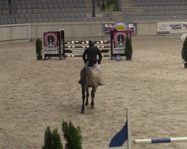 Reitturnier Aachen 2025