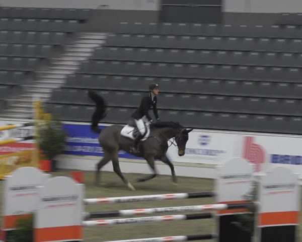 VER-Dinale 2014