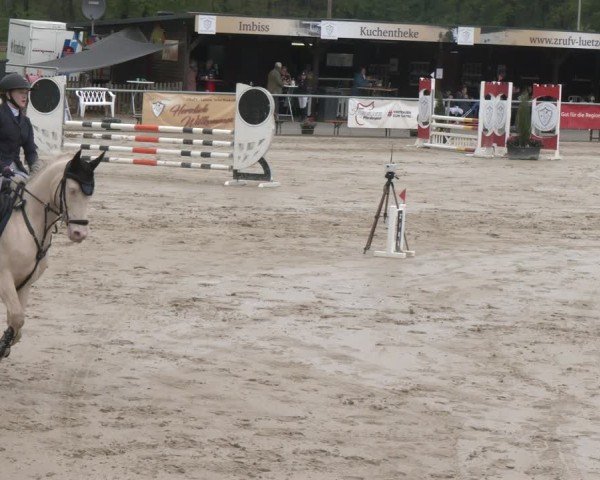 Reitturnier Olfen 2025
