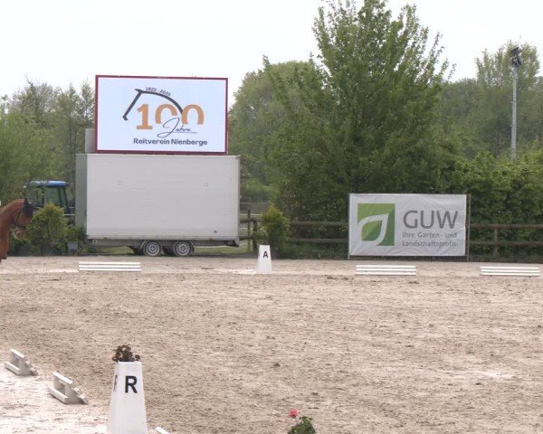 Reitturnier Nienberge 2025