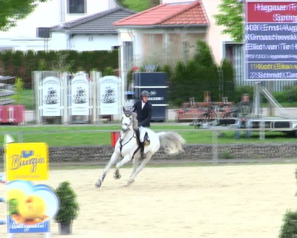 Reitturnier Ingolstadt-Hagau/Obb. 2025