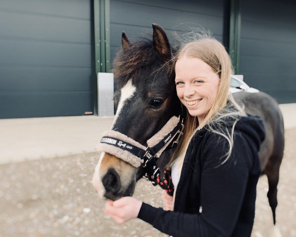 horse Milky Chance NE (German Riding Pony, 2020, from Million Reasons)