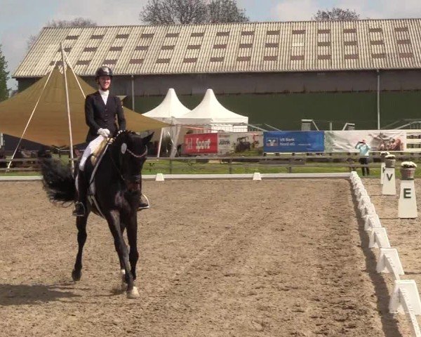 Reitturnier Kleinsolter Turniertage 2025