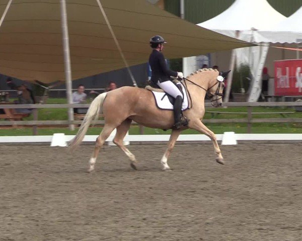 Reitturnier Kleinsolter Turniertage 2025