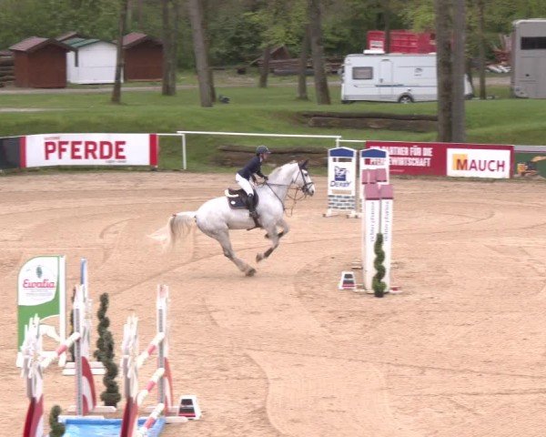 Internationales Springturnier Stadl-Paura 2025