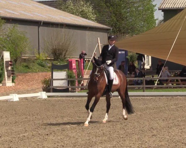 Reitturnier Kleinsolter Turniertage 2025