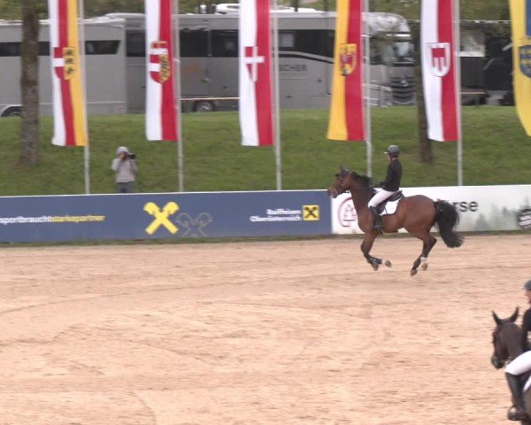 Internationales Springturnier Stadl-Paura 2025