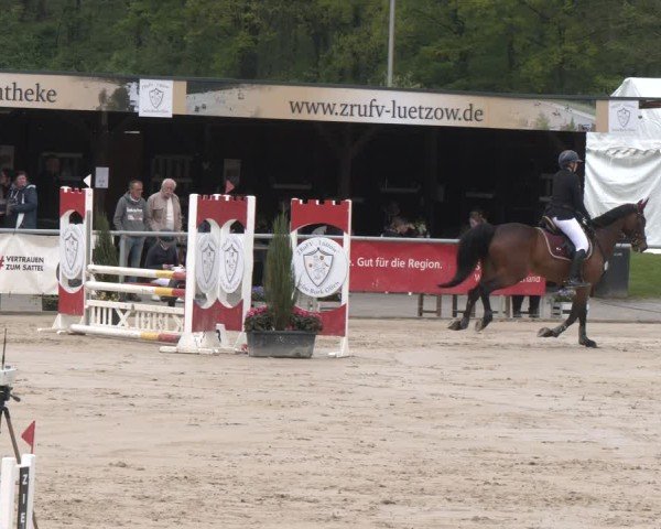 Reitturnier Olfen 2025