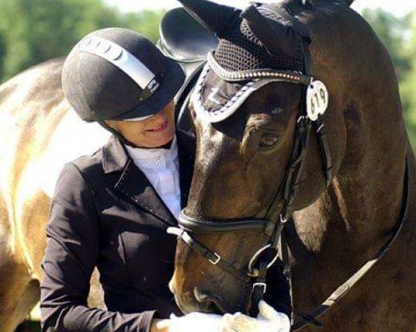 dressage horse Rocadero Blue (Westphalian, 2001, from Riccione)