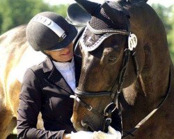 dressage horse Rocadero Blue (Westphalian, 2001, from Riccione)