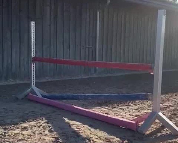 Video of Pol's Faith
