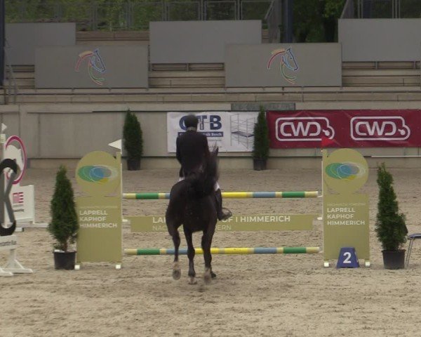 Reitturnier Aachen 2025