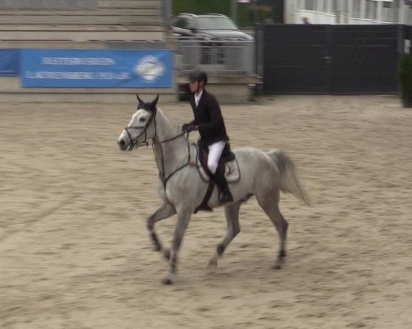 Reitturnier Aachen 2025