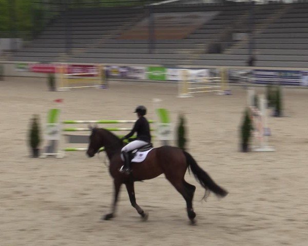 Reitturnier Aachen 2025