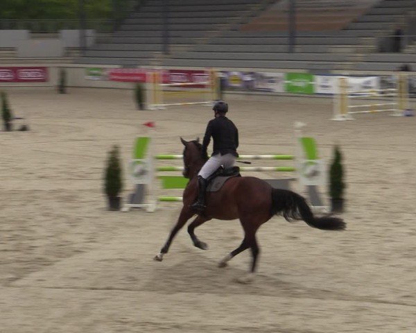 Reitturnier Aachen 2025