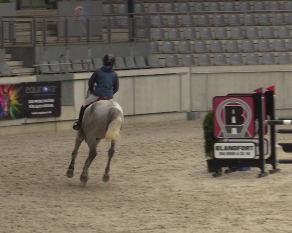 Reitturnier Aachen 2025