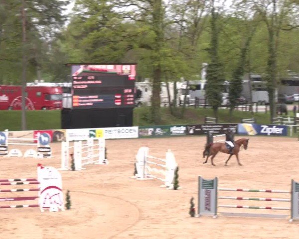 Internationales Springturnier Stadl-Paura 2025