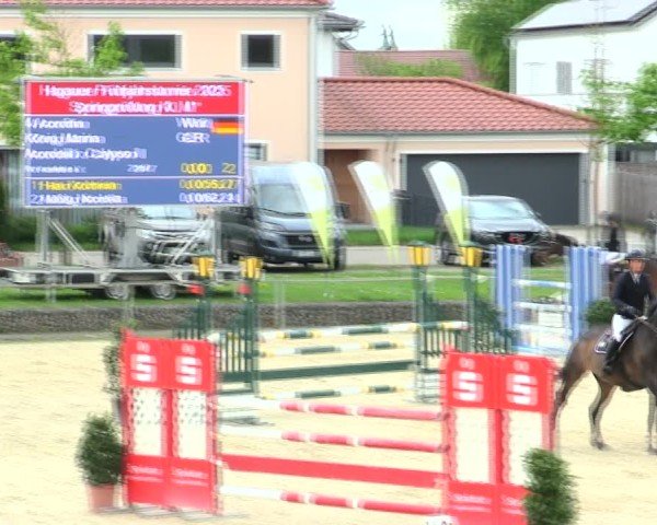 Reitturnier Ingolstadt-Hagau/Obb. 2025