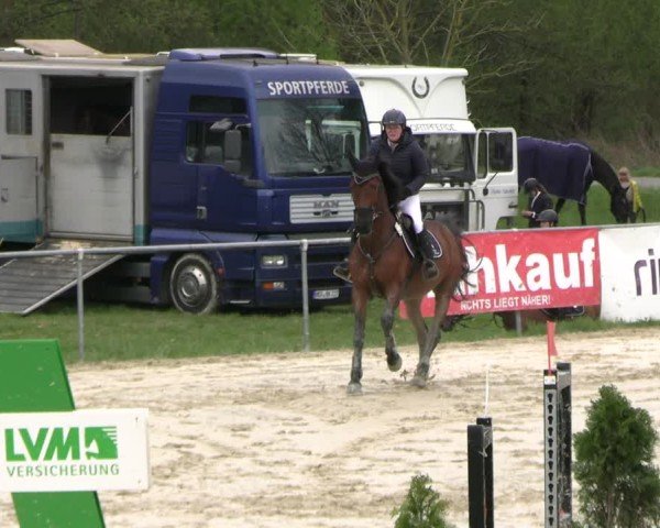 Reitturnier Bad Liebenstein 2025