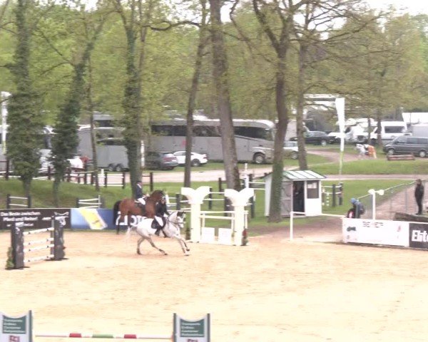 Internationales Springturnier Stadl-Paura 2025