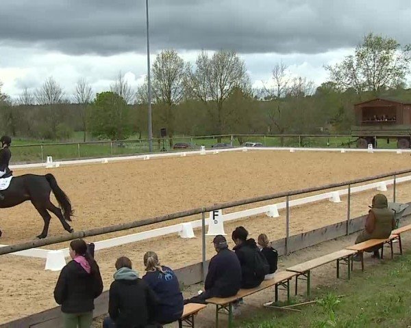 Reitturnier Altentrüdingen 2025